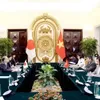 Vietnam, Japan work to materialise comprehensive strategic partnership