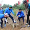 Project to help with climate change adaptation, development in Dien Bien