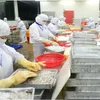 Shrimp exports to the EU market continue to grow