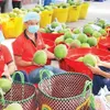 Maintaining the agricultural export market of China