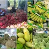 New markets help fruit exports grow to record revenues