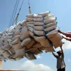 Vietnam's rice export turnover up 23.5% in nine months