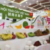 First Vietnam fruit festival opens in China