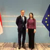 Vietnam, Netherlands strengthen climate cooperation