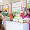 Vietnam’s distinctive agricultural exports to China exhibited in Hanoi