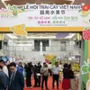 First Vietnam fruit festival opens in China