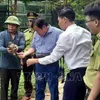 Quang Binh: 15 rare wild animals released back to the wild