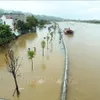 Vietnam, China cooperate in natural disaster response