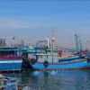 Quang Nam aims to deal with 'three no’s' fishing vessels in November