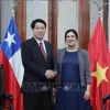 Parliamentary ties crucial to Vietnam - Chile comprehensive partnership: State leader