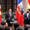 Vietnamese, Chilean leaders meet with press after talks