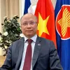 Vietnam-France ties reach new height in 2024: Ambassador