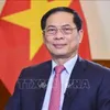 Diplomatic achievements in 2024 set stage for Vietnam's new era: Deputy PM