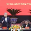 Gia Lai needs to remove obstacles for stronger development: Party chief