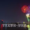 HCM City sets to host 7 firework displays on National Reunification Day