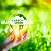 Vietnam’s carbon market development project approved