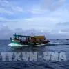 Kien Giang intensifies fight against IUU fishing to have EC’s 'yellow card' removed