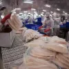 Tra fish exports on track reach close to 2 billion USD in 2025