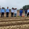 Nation enhances linkage and promotion of potato value chain