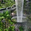 Singapore’s Changi reclaims world’s best airport title in 2025
