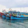 Ben Tre cracks down on illegal fishing to lift EC’s yellow card warning