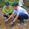 Hundreds of trees planted in Cuc Phuong National Park as part of Forestival