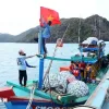 Tien Giang steps up efforts to combat IUU fishing