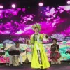Vietnamese culture shines in Czech Republic
