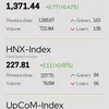 Infographic: Market capitalisation stocks surge, VN-Index surpasses 1,370 points