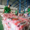 Market fluctuations challenge Viet Nam’s rice export sector