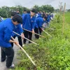 Young people volunteer in building new-styled rural areas