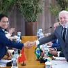 Vietnamese Prime Minister holds talks with Brazilian President in Rio de Janeiro