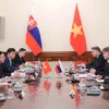 Vietnam, Slovakia hold political consultation