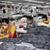 Vietnam records highest industrial production growth in five years