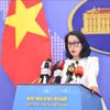 Vietnam wishes to enhance voice, role of developing nations as BRICS partner country
