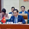 Vietnam pushes for stronger Mekong–Lancang cooperation in next 'golden decade'