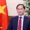 Deputy PM, FM highlights 80-year journey of Vietnam’s diplomacy