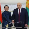 Belarus regards Vietnam one of key partners in Asia: President