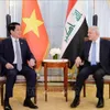Vietnamese, Iraqi Presidents hail development of bilateral ties