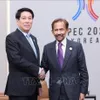 Vietnamese, Bruneian leaders pledge to promote practical development of bilateral ties