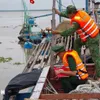 Dong Thap province tightens monitoring of vessels at sea to tackle IUU fishing