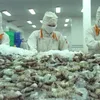 Vietnam earns 1.1 billion USD from shrimp exports to China