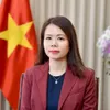 Vietnam works to shape new future, vision with Middle East-Africa region