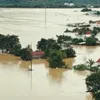 Documentary “Mud Traces”: Warmth of humanity amid the scars of a devastating flood