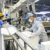 Vietnam’s economy maintains momentum despite dual shocks in first 11 months