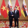 Vietnam, Brunei issue joint statement