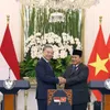 70 years of Vietnam – Indonesia relations: Similarities become strategic strength