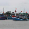IUU fishing: Quang Ngai helps fishermen transition to sustainable livelihoods