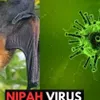 Health sector steps up preparedness against Nipah virus disease
