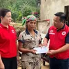 Vietnam Red Cross allocates nearly 5.2 trillion VND for humanitarian activities in 2025